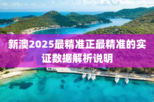 新澳2025最精準正最精準的實證數(shù)據(jù)解析說明