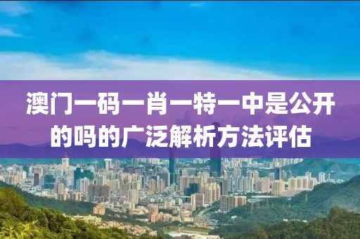 澳門一碼一肖一特一中是公開的嗎的廣泛解析方法評(píng)估