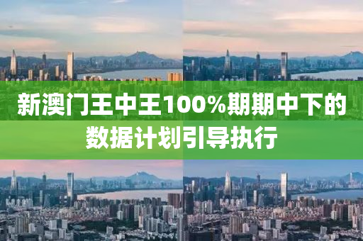 新澳門王中王100%期期中下的數(shù)據(jù)計劃引導(dǎo)執(zhí)行