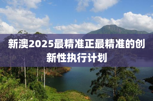 新澳2025最精準正最精準的創(chuàng)新性執(zhí)行計劃