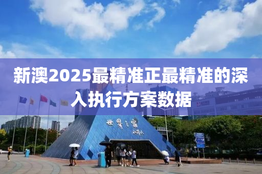 新澳2025最精準正最精準的深入執(zhí)行方案數(shù)據(jù)