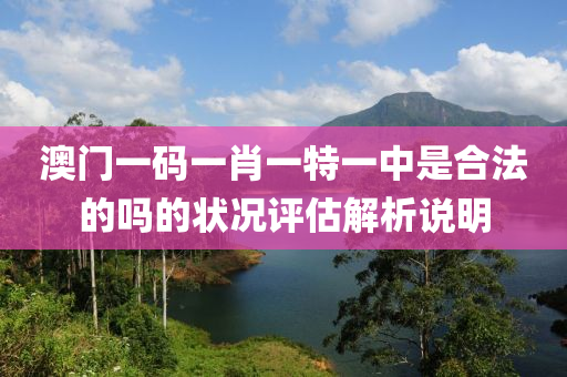 澳門一碼一肖一特一中是合法的嗎的狀況評估解析說明