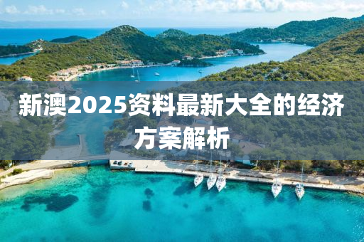 新澳2025資料最新大全的經(jīng)濟方案解析