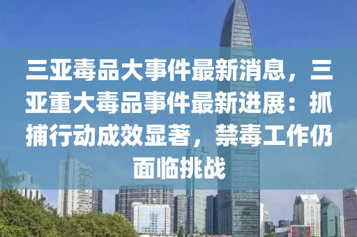 三亞毒品大事件最新消息，三亞重大毒品事件最新進展：抓捕行動成效顯著，禁毒工作仍面臨挑戰(zhàn)