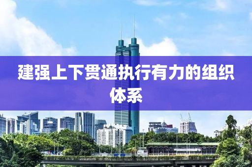 建強(qiáng)上下貫通執(zhí)行有力的組織體系