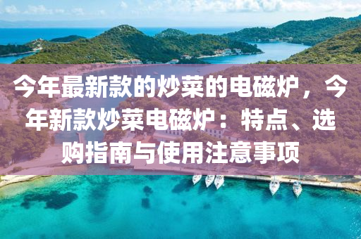 今年最新款的炒菜的電磁爐，今年新款炒菜電磁爐：特點、選購指南與使用注意事項