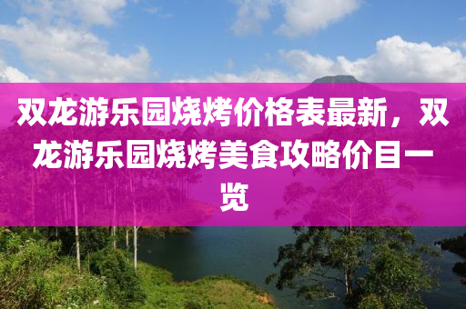 雙龍游樂園燒烤價格表最新，雙龍游樂園燒烤美食攻略價目一覽