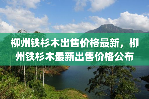 柳州鐵杉木出售價格最新，柳州鐵杉木最新出售價格公布