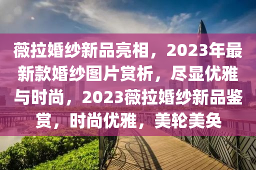 薇拉婚紗新品亮相，2023年最新款婚紗圖片賞析，盡顯優(yōu)雅與時尚，2023薇拉婚紗新品鑒賞，時尚優(yōu)雅，美輪美奐