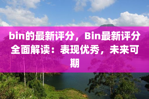 bin的最新評分，Bin最新評分全面解讀：表現(xiàn)優(yōu)秀，未來可期