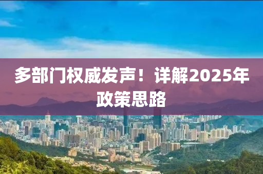 多部門權(quán)威發(fā)聲！詳解2025年政策思路