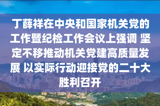 丁薛祥在中央和國家機關黨的工作暨紀檢工作會議上強調 堅定不移推動機關黨建高質量發(fā)展 以實際行動迎接黨的二十大勝利召開