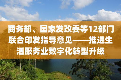 商務(wù)部、國家發(fā)改委等12部門聯(lián)合印發(fā)指導(dǎo)意見——推進(jìn)生活服務(wù)業(yè)數(shù)字化轉(zhuǎn)型升級