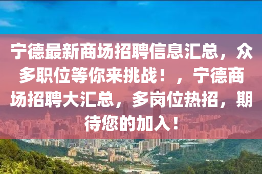 寧德最新商場招聘信息匯總，眾多職位等你來挑戰(zhàn)！，寧德商場招聘大匯總，多崗位熱招，期待您的加入！