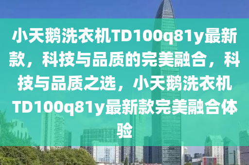 小天鵝洗衣機TD100q81y最新款