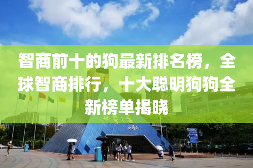 智商前十的狗最新排名榜，全球智商排行，十大聰明狗狗全新榜單揭曉