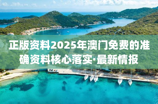 正版資料2025年澳門免費(fèi)的準(zhǔn)確資料核心落實(shí)·最新情報(bào)