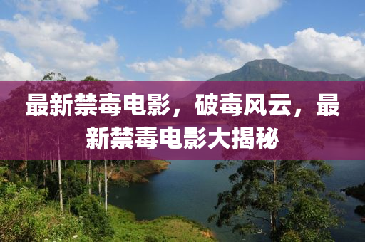 最新禁毒電影，破毒風(fēng)云，最新禁毒電影大揭秘