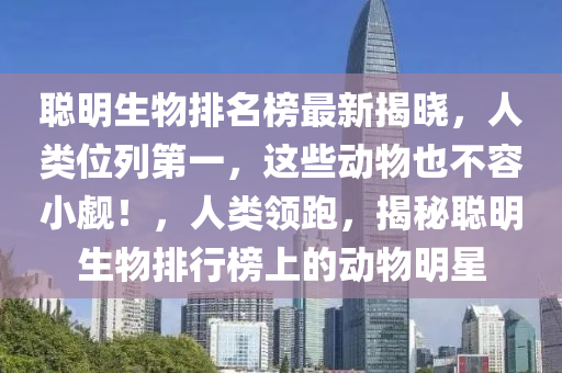 聰明生物排名榜最新揭曉，人類位列第一，這些動物也不容小覷！，人類領(lǐng)跑，揭秘聰明生物排行榜上的動物明星