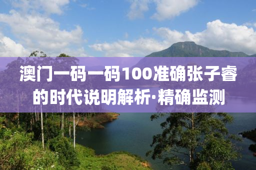 澳門一碼一碼100準確張子睿的時代說明解析·精確監(jiān)測