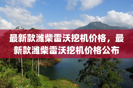 最新款濰柴雷沃挖機價格，最新款濰柴雷沃挖機價格公布