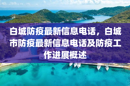 白城防疫最新信息電話，白城市防疫最新信息電話及防疫工作進展概述