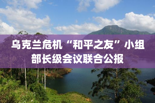 烏克蘭危機“和平之友”小組部長級會議聯(lián)合公報