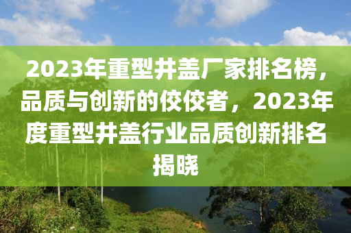 2023年重型井蓋廠家排名榜，品質(zhì)與創(chuàng)新的佼佼者，2023年度重型井蓋行業(yè)品質(zhì)創(chuàng)新排名揭曉