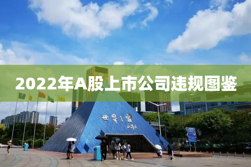 2022年A股上市公司違規(guī)圖鑒