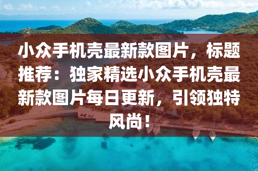 小眾手機殼最新款圖片，標題推薦：獨家精選小眾手機殼最新款圖片每日更新，引領(lǐng)獨特風(fēng)尚！