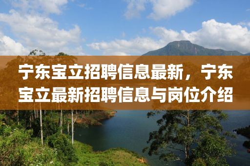 寧東寶立招聘信息最新，寧東寶立最新招聘信息與崗位介紹