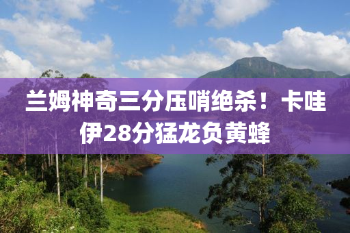 蘭姆神奇三分壓哨絕殺！卡哇伊28分猛龍負(fù)黃蜂