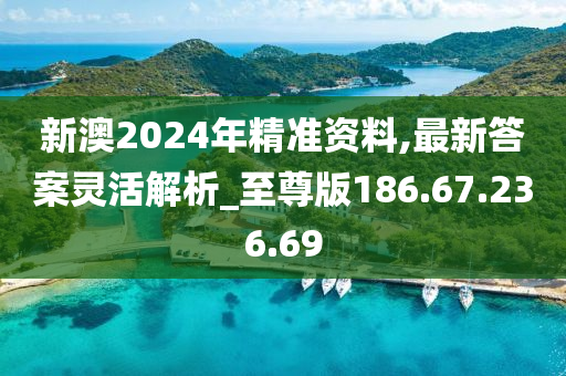 新澳2024年精準資料,最新答案靈活解析_至尊版186.67.236.69