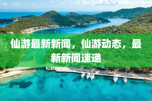 仙游最新新聞，仙游動(dòng)態(tài)，最新新聞速遞