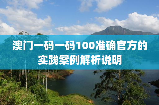 澳門一碼一碼100準確官方的實踐案例解析說明