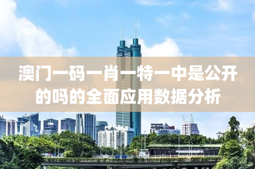 澳門一碼一肖一特一中是公開的嗎的全面應(yīng)用數(shù)據(jù)分析