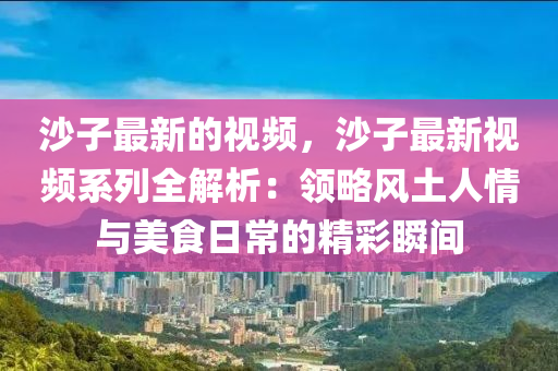 沙子最新的視頻，沙子最新視頻系列全解析：領(lǐng)略風(fēng)土人情與美食日常的精彩瞬間