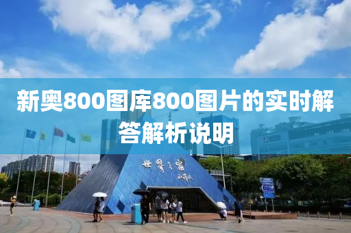 新奧800圖庫800圖片的實時解答解析說明