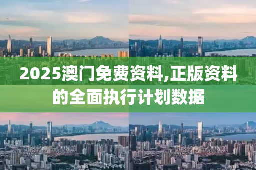 2025澳門免費(fèi)資料,正版資料的全面執(zhí)行計劃數(shù)據(jù)