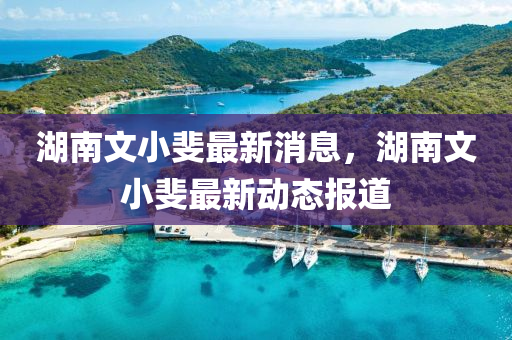 湖南文小斐最新消息，湖南文小斐最新動(dòng)態(tài)報(bào)道