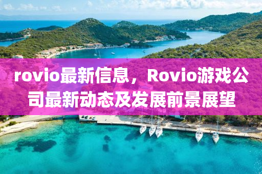 rovio最新信息，Rovio游戲公司最新動態(tài)及發(fā)展前景展望