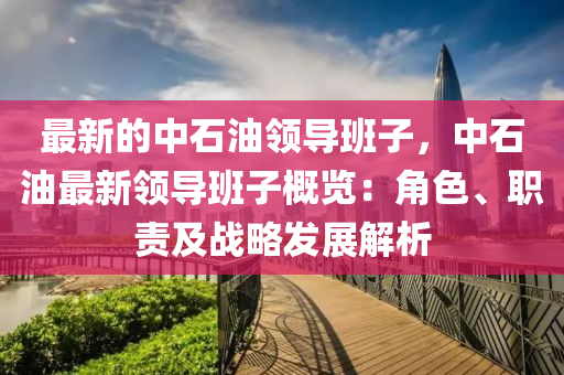 最新的中石油領(lǐng)導班子，中石油最新領(lǐng)導班子概覽：角色、職責及戰(zhàn)略發(fā)展解析