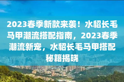 2023春季新款來襲！水貂長毛馬甲潮流搭配指南，2023春季潮流新寵，水貂長毛馬甲搭配秘籍揭曉