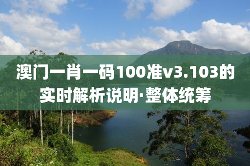 澳門一肖一碼100準(zhǔn)v3.103的實(shí)時(shí)解析說(shuō)明·整體統(tǒng)籌