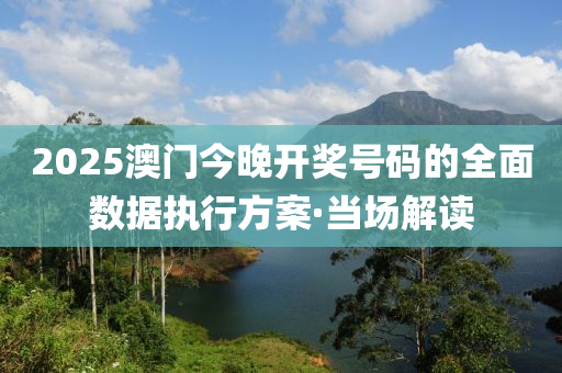 2025澳門今晚開獎(jiǎng)號(hào)碼的全面數(shù)據(jù)執(zhí)行方案·當(dāng)場解讀