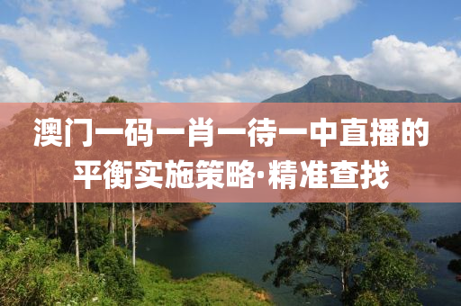 澳門一碼一肖一待一中直播的平衡實施策略·精準(zhǔn)查找