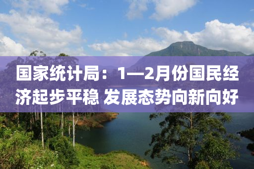 國家統(tǒng)計局：1—2月份國民經濟起步平穩(wěn) 發(fā)展態(tài)勢向新向好