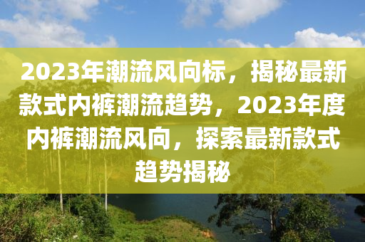 2023年潮流風(fēng)向標(biāo)，揭秘最新款式內(nèi)褲潮流趨勢(shì)，2023年度內(nèi)褲潮流風(fēng)向，探索最新款式趨勢(shì)揭秘