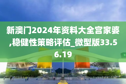 新澳門2024年資料大全宮家婆,穩(wěn)健性策略評估_微型版33.56.19