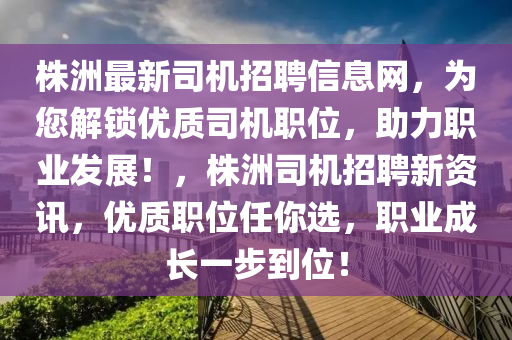 株洲最新司機招聘信息網(wǎng)，為您解鎖優(yōu)質(zhì)司機職位，助力職業(yè)發(fā)展！，株洲司機招聘新資訊，優(yōu)質(zhì)職位任你選，職業(yè)成長一步到位！